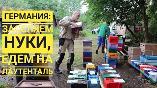 В Германии: заселяем #нуклеусы пчелами - едем на Лаутенталь