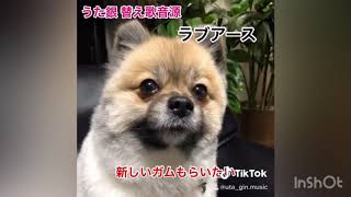 TikTok 替え歌音源をまとめてみた①