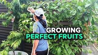 GROWING YOUR OWN FRUIT GARDEN!