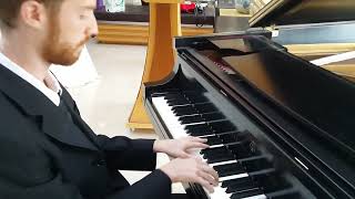 0544292839 Hire a wonderful Israeli pianist for your party