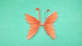 DIY: Easy Paper Butterflies | Cute & Easy Origami Butterfly | Paper Butterfly Making for Begginers
