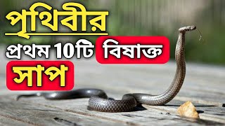 TOP10 DANGEROUS VENOMOUS SNAKE IN THE WORLDপৃথিবীর প্রথম১০টি ভয়ঙ্কর বিষাক্ত সাপ,Shankhachur snake