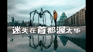 从荒无人烟的原野到繁华热闹的首都｜渥太华美的像一场梦