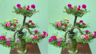 How To Make Portulaca Grandiflora | Moss Rose Bonsai | Growing In Beautiful Water Is Very Simple