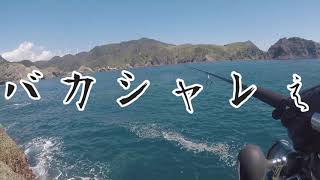 【沖磯・南伊豆】夏のロックショアで青物と根魚狙い！