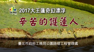 辛苦的護蓮人（2017大王蓮奇幻漂浮）　台北市政府