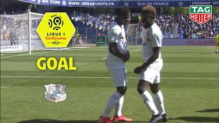Goal Steven MENDOZA (66') / Montpellier Hérault SC - Amiens SC (1-1) (MHSC-ASC) / 2018-19