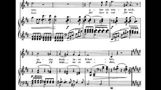 Die Mainacht (J. Brahms) Score Animation