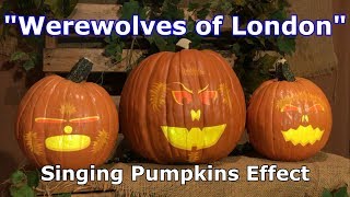 Werewolves of London - Singing Pumpkins Effect Animation