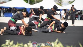 WARISAN LIAN #247: MAJLIS HIMPUNAN SILAT ALIRAN BUAH PUKUL 2025 MERSING JOHOR 25-1-2025