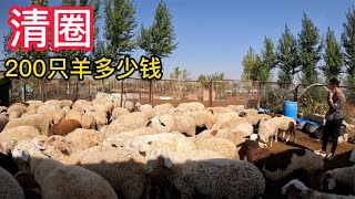 内蒙养殖户清圈214只羊，大娘要价21万大爷觉得少了，看看能成吗