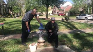 Fire Hydrant Painting Program Video