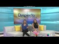 univision kdtv 14