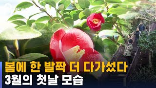 봄에 한 발짝 더 다가섰다…3월의 첫날 모습 / SBS 8뉴스