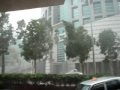 Hong Kong Typhoon