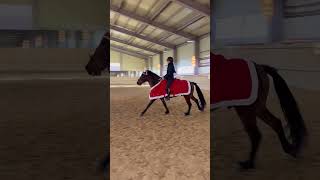 파밀리에승마장 장애물 팀CL 12월 28일 시합준비 중 참석하실 분 언제든 환영 문의 팀CL #horse #equestrian #riding #horsesstable