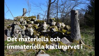 Det materiella och immateriella kulturarvet i skogen