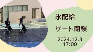 氷配給　ゲート閉鎖　2024.12.3 17:00