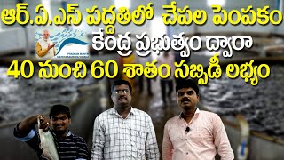 15 సెంటర్లలో 40 టన్నుల దిగుబడి | RAS Fish Farming కి PMMSY ద్వారా 40 నుంచి 60 శాతం సబ్సిడీ#i3farming