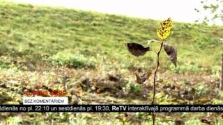 OgresTV: Bez komentāriem: Rudens Ogrē (12.10.2012)