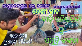 ରକ୍ତ ତୀର୍ଥ ଇରମ ନିକଟରେ ଥିବା ଗୋଟେ ଦେଶୀ ହାଟ. unexplored deshi market in Basudebpur Nanjipada #deshihata