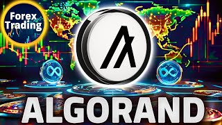 ALGORAND Bull Run Is Closer Than You Think! Here’s the Proof-ALGORAND Price Prediction-ALGORAND News