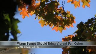 Warm weather should bring vibrant fall colors to the Chippewa Valley