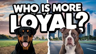 Rottweiler vs Pit Bull: The Ultimate Showdown