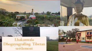 Glimpse of lakhanwala Tibetan settlement herbertpur || Travel vlog ||