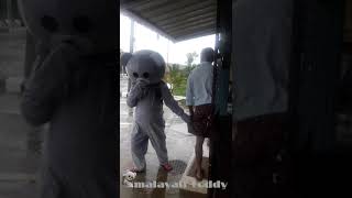 Teddy Bear Irrittating people 🤣|Malayali Teddy🔥|India|Kerala|Wayanad