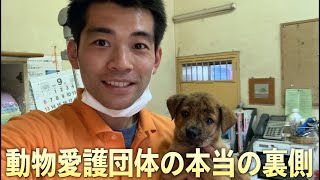 動物愛護団体で実際に働いてみたら現場の事情が衝撃だった…！！