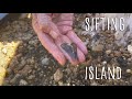 Palmetto Fossil Excursions | Sifting Island