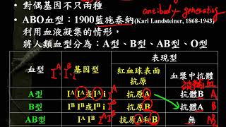 10701高二基礎生物ch4 2 10非孟德爾式的遺傳方式 複對偶基因與等顯性二毅