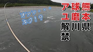 ２０２３年　熊本県　球磨川　尺鮎の聖地で鮎解禁　雨続きで濁りが出てますが・・・つれる！？