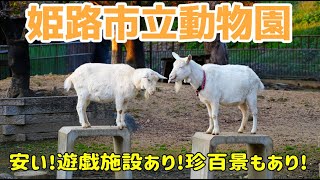 【兵庫県】コスパ抜群!姫路城も見える動物園、「姫路市立動物園」-動物園,関西,ナニコレ珍百景,遊園地,Zoo,Animals-