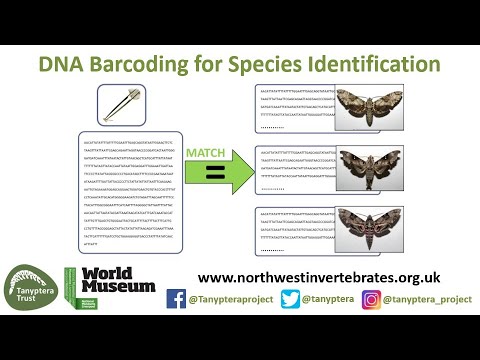 DNA Barcoding For Species Identification - YouTube