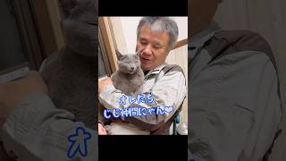 ペットに似てきた飼い主　#保護猫 #ロシアンブルー #猫のいる暮らし