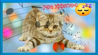 🐱расслабляющая музыка для кошек 💤 очень эффективно для сна, успокаивает беспокойную кошку \