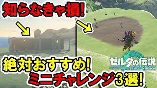 【ティアキン】知らなきゃ損！絶対おすすめミニチャレンジ3選！【ゼルダの伝説】