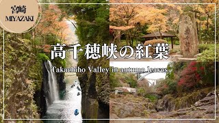 宮崎の絶景・観光スポット 高千穂峡の紅葉（Takachiho Valley in autumn leaves）｜Japan Travel Miyazaki Japan beautiful places