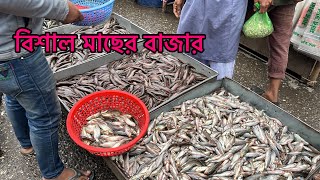 বিশাল মাছের বাজার, যাত্রাবাড়ী।Huge fish market Jatrabari