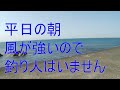 9三重県片田漁港車横付け釣りに良し波止が低いのでファミリー家族サビキ釣りに良しイカのスミ跡が沢山堤防外向きにテトラポットが無いので釣りやすい