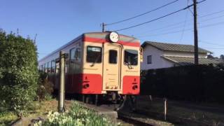 いすみ鉄道キハ20 1303