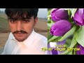 2 punjabi poetry voice ajmair hayat gondal rip by haroon al rasheed gondal