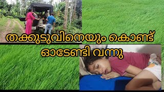 ഇത്രെയും പഠിച്ചിട്ട് ഇങ്ങനെ ആയാൽ എന്താ ചെയ്യാ/villege life style