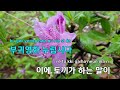 난감하네 프로젝트 락 ky.94450 ky karaoke