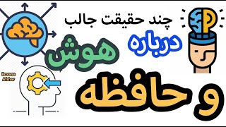 ۲۲ حقیقت جالب درباره هوش و حافظه