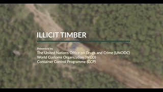 UNODC-WCO-CCP Illicit Timber