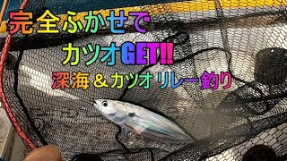 深海＆カツオ釣り　GARMIN魚探FUL活用、深海釣りの設定を解説