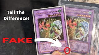 UDE/Upper Deck Counterfeits - Everything You Need To Know